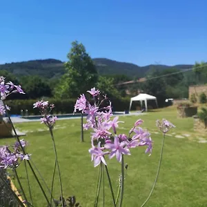 Alba Morus Sentiti A Casa Nel Cuo Frühstückspension