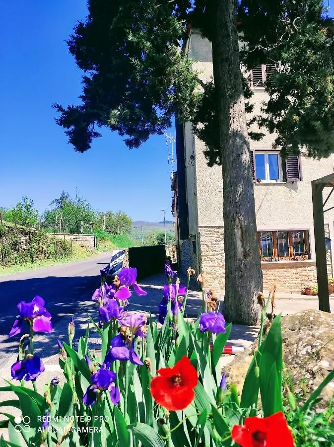 Holiday home Rohouse -Experience- Villa Arezzo