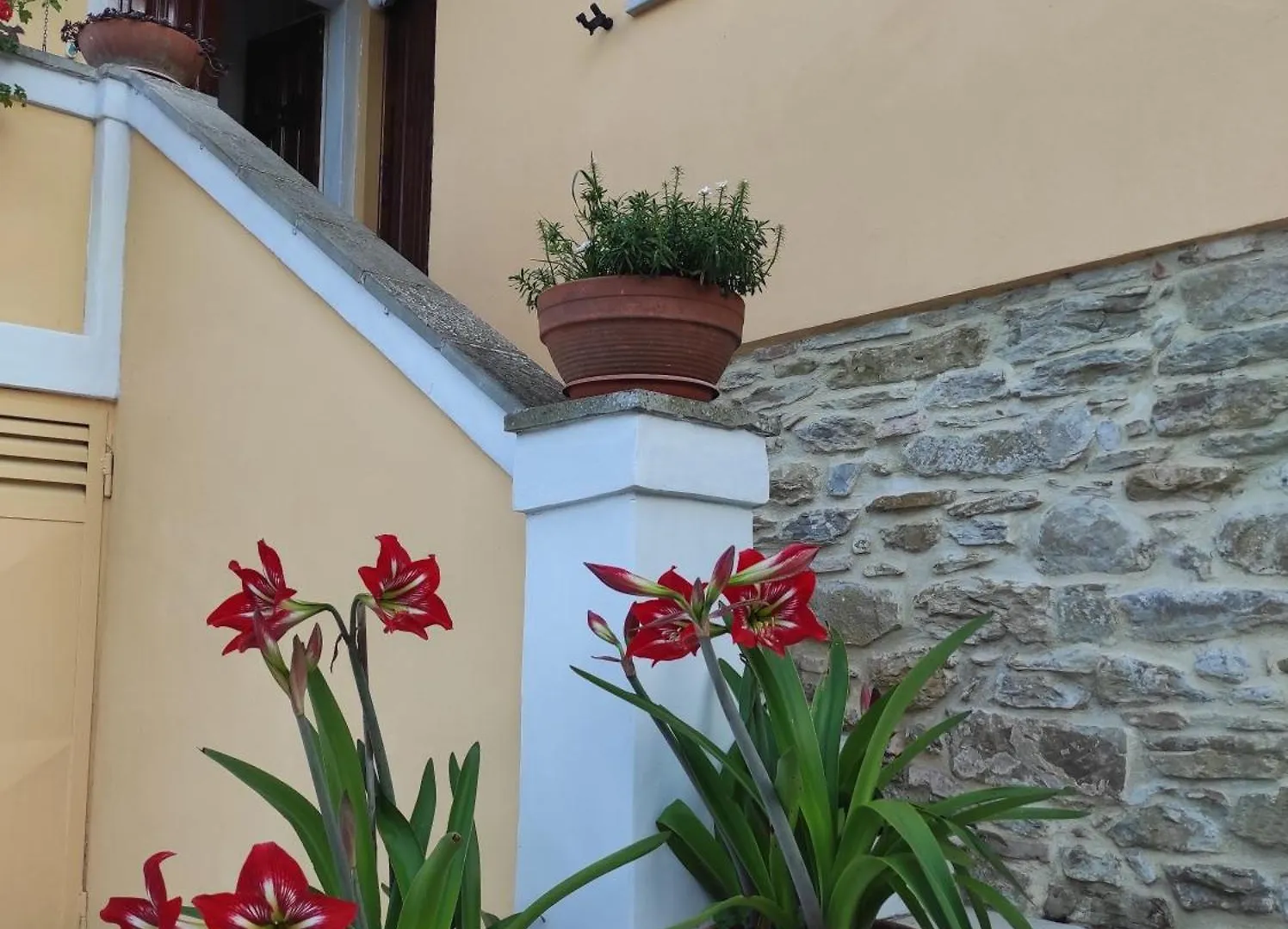 Holiday home Rohouse -Experience- Villa Arezzo